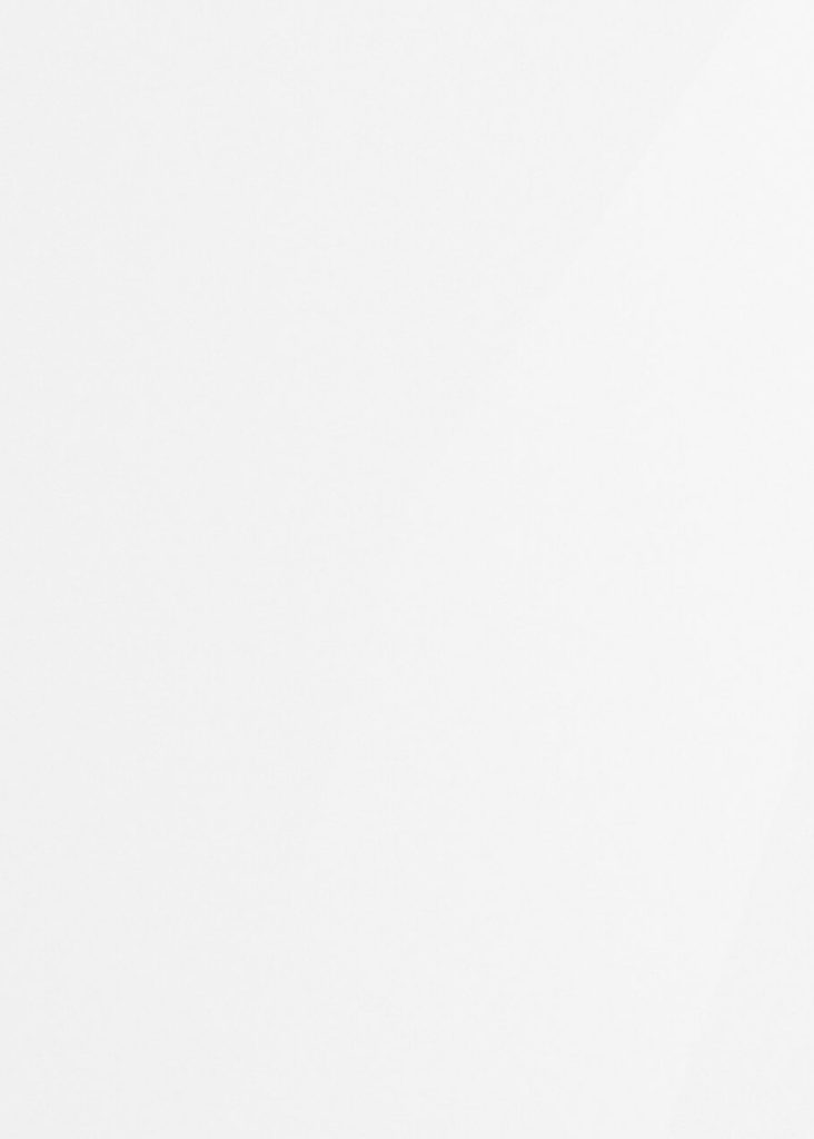 ULTRA WHITE RAL 9003